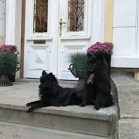 Temptation In - 24h Self Check-in София