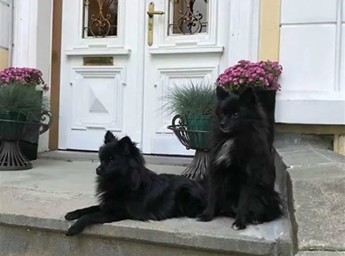 Temptation In - 24h Self Check-in Sofía